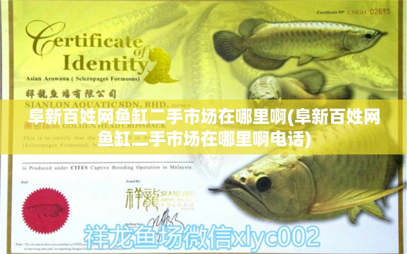 阜新百姓網(wǎng)魚缸二手市場在哪里啊(阜新百姓網(wǎng)魚缸二手市場在哪里啊電話)