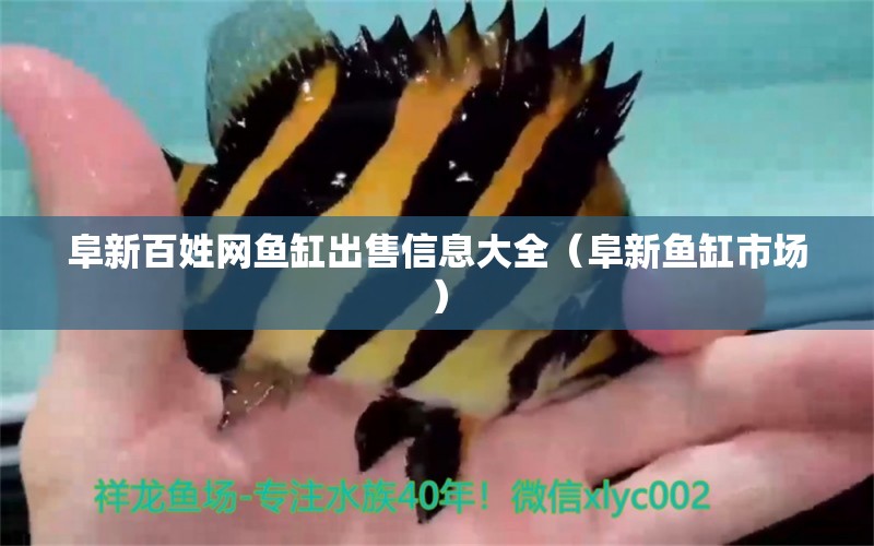 阜新百姓網(wǎng)魚缸出售信息大全（阜新魚缸市場(chǎng)）