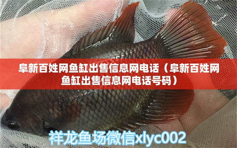 阜新百姓網(wǎng)魚缸出售信息網(wǎng)電話（阜新百姓網(wǎng)魚缸出售信息網(wǎng)電話號(hào)碼）