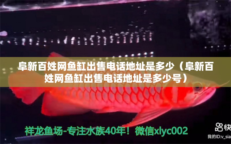 阜新百姓網(wǎng)魚缸出售電話地址是多少（阜新百姓網(wǎng)魚缸出售電話地址是多少號(hào)）