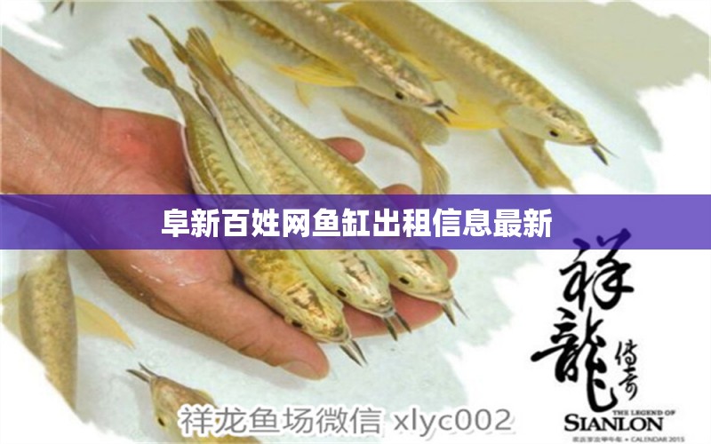 阜新百姓網(wǎng)魚缸出租信息最新