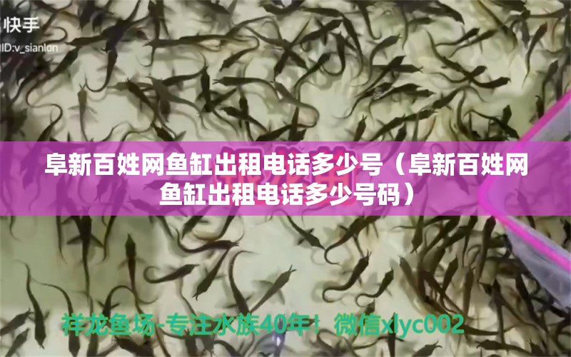 阜新百姓網(wǎng)魚缸出租電話多少號(hào)（阜新百姓網(wǎng)魚缸出租電話多少號(hào)碼）