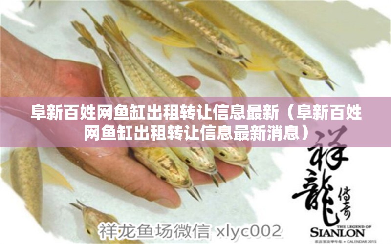 阜新百姓網(wǎng)魚缸出租轉(zhuǎn)讓信息最新（阜新百姓網(wǎng)魚缸出租轉(zhuǎn)讓信息最新消息）