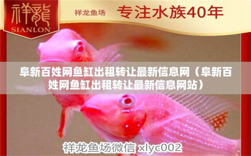 阜新百姓網(wǎng)魚缸出租轉(zhuǎn)讓最新信息網(wǎng)（阜新百姓網(wǎng)魚缸出租轉(zhuǎn)讓最新信息網(wǎng)站）