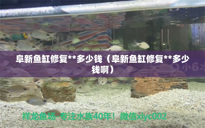 阜新魚缸修復(fù)**多少錢（阜新魚缸修復(fù)**多少錢?。?祥龍水族醫(yī)院