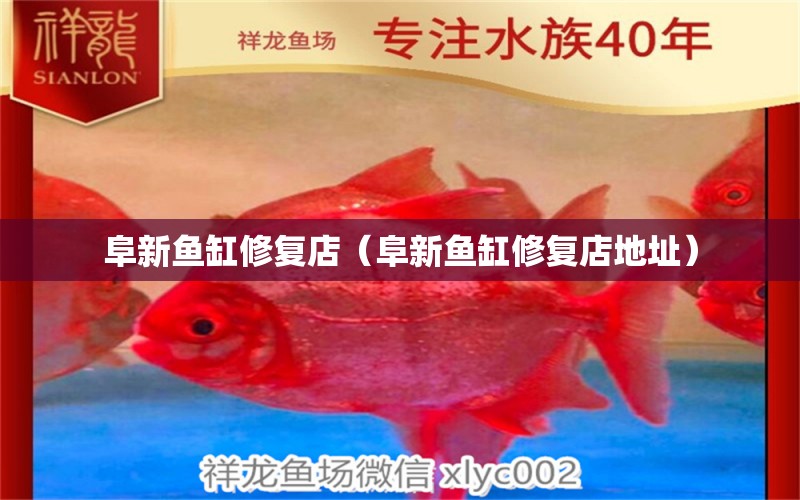 阜新魚缸修復(fù)店（阜新魚缸修復(fù)店地址）