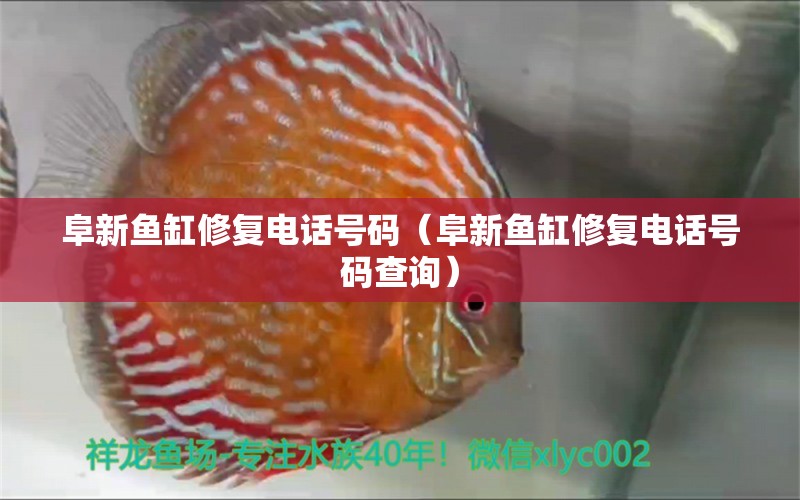 阜新魚缸修復(fù)電話號碼（阜新魚缸修復(fù)電話號碼查詢）