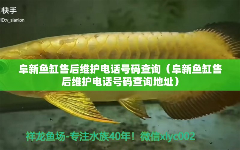 阜新魚缸售后維護(hù)電話號(hào)碼查詢（阜新魚缸售后維護(hù)電話號(hào)碼查詢地址）