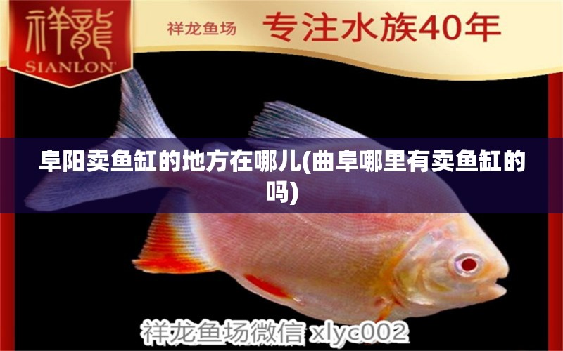 阜陽(yáng)賣魚缸的地方在哪兒(曲阜哪里有賣魚缸的嗎) 祥龍金禾金龍魚