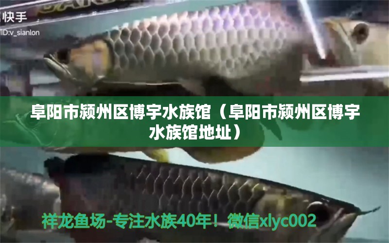 阜陽市潁州區(qū)博宇水族館（阜陽市潁州區(qū)博宇水族館地址）