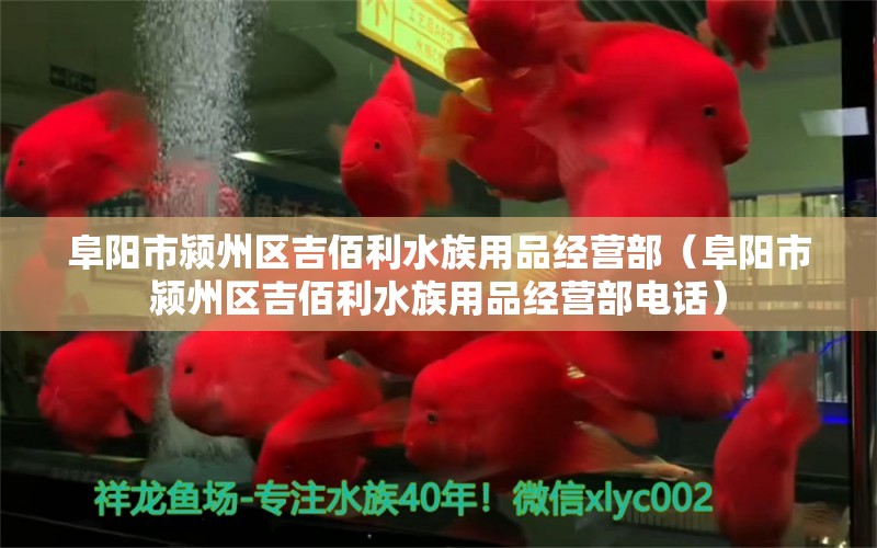 阜陽市潁州區(qū)吉佰利水族用品經(jīng)營部（阜陽市潁州區(qū)吉佰利水族用品經(jīng)營部電話） 水族用品