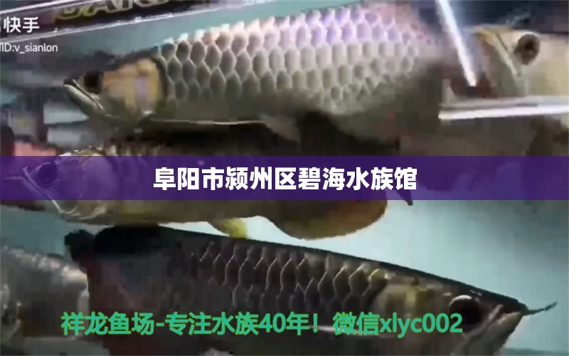 阜陽(yáng)市潁州區(qū)碧海水族館