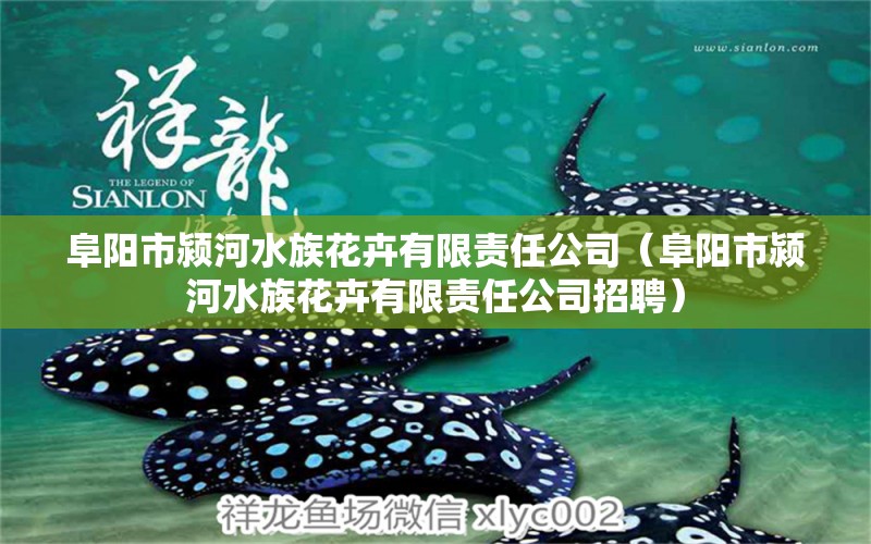 阜陽市潁河水族花卉有限責任公司（阜陽市潁河水族花卉有限責任公司招聘） 全國水族館企業(yè)名錄