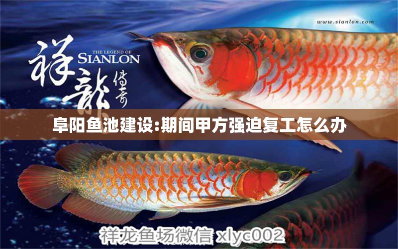 阜陽魚池建設(shè):期間甲方強(qiáng)迫復(fù)工怎么辦