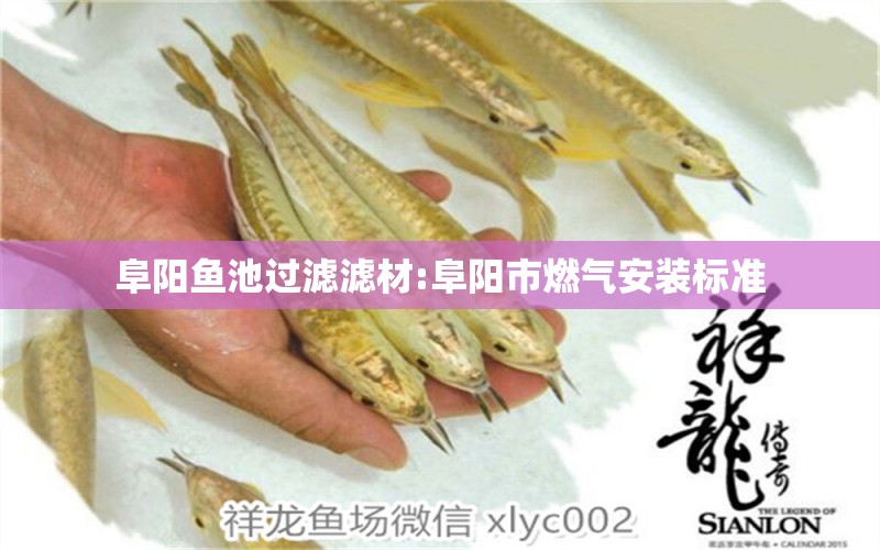 阜陽魚池過濾濾材:阜陽市燃?xì)獍惭b標(biāo)準(zhǔn)