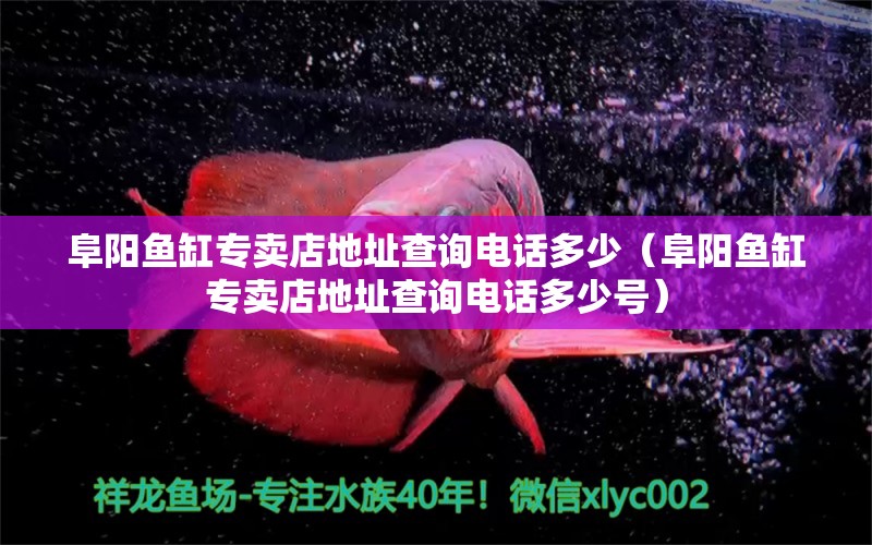 阜陽魚缸專賣店地址查詢電話多少（阜陽魚缸專賣店地址查詢電話多少號）