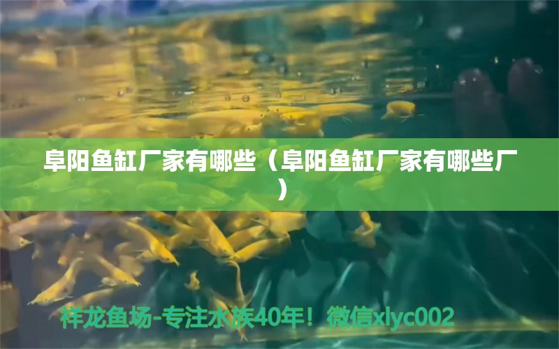 阜陽魚缸廠家有哪些（阜陽魚缸廠家有哪些廠）