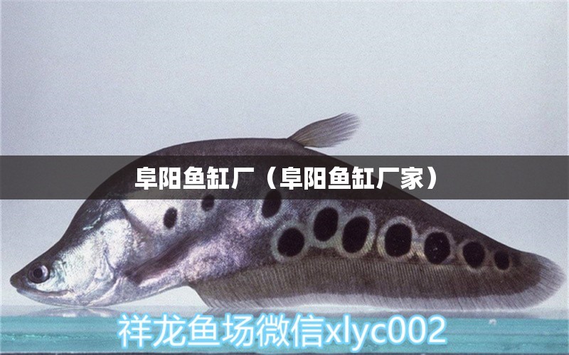 阜陽(yáng)魚(yú)缸廠（阜陽(yáng)魚(yú)缸廠家）