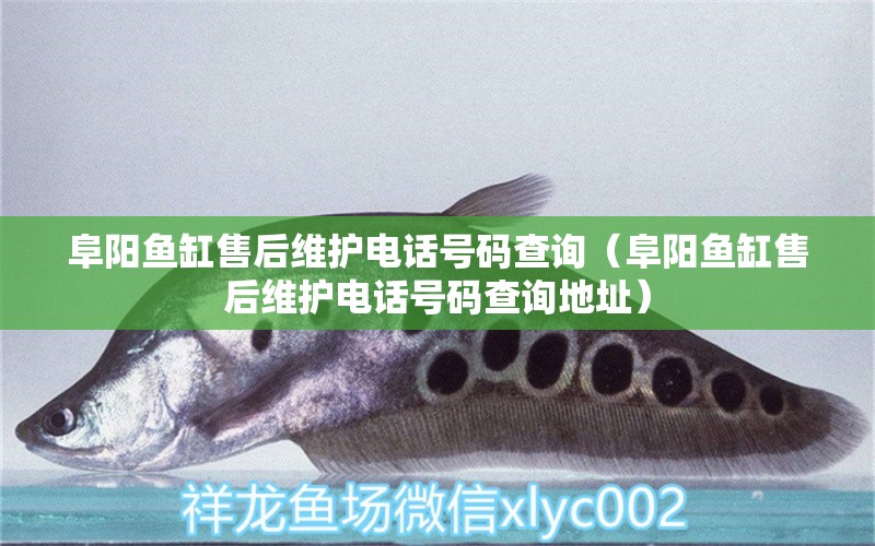 阜陽魚缸售后維護(hù)電話號碼查詢（阜陽魚缸售后維護(hù)電話號碼查詢地址）