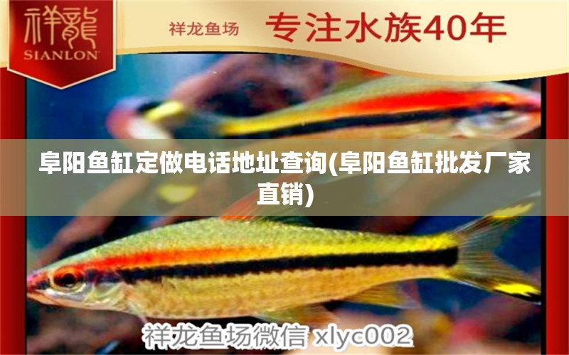 阜陽(yáng)魚(yú)缸定做電話地址查詢(阜陽(yáng)魚(yú)缸批發(fā)廠家直銷(xiāo)) 硝化細(xì)菌