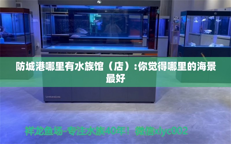 防城港哪里有水族館（店）:你覺得哪里的海景最好 觀賞魚水族批發(fā)市場