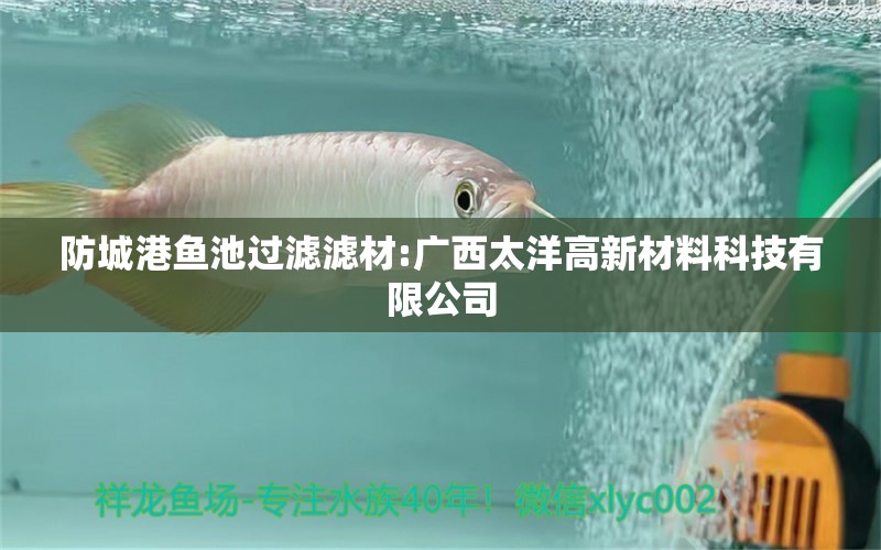 防城港魚池過濾濾材:廣西太洋高新材料科技有限公司 廣州水族器材濾材批發(fā)市場