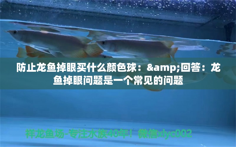 防止龍魚掉眼買什么顏色球：&回答：龍魚掉眼問題是一個常見的問題 水族問答 第2張