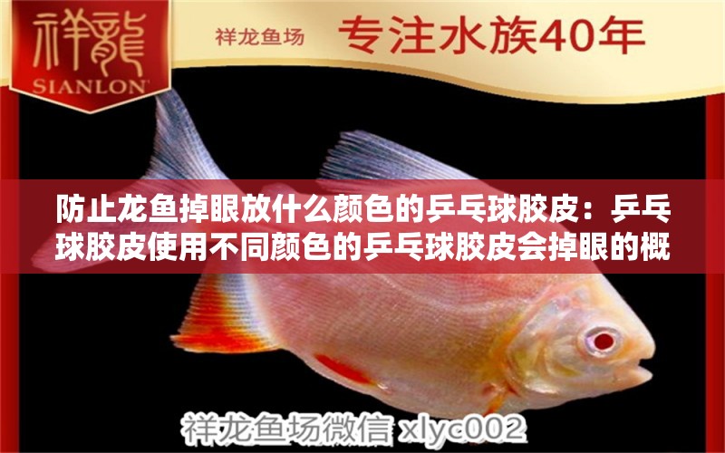 防止龍魚掉眼放什么顏色的乒乓球膠皮：乒乓球膠皮使用不同顏色的乒乓球膠皮會掉眼的概率 水族問答 第2張