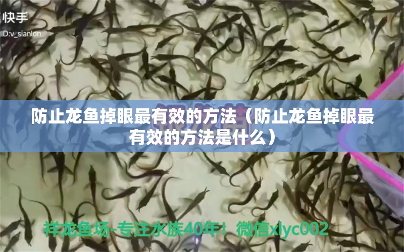 防止龍魚掉眼最有效的方法（防止龍魚掉眼最有效的方法是什么）