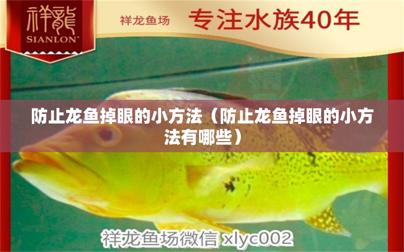 防止龍魚掉眼的小方法（防止龍魚掉眼的小方法有哪些） 龍魚疾病與治療