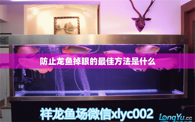 防止龍魚(yú)掉眼的最佳方法是什么 水族問(wèn)答 第2張