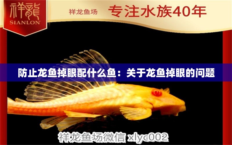 防止龍魚掉眼配什么魚：關(guān)于龍魚掉眼的問題 水族問答 第1張