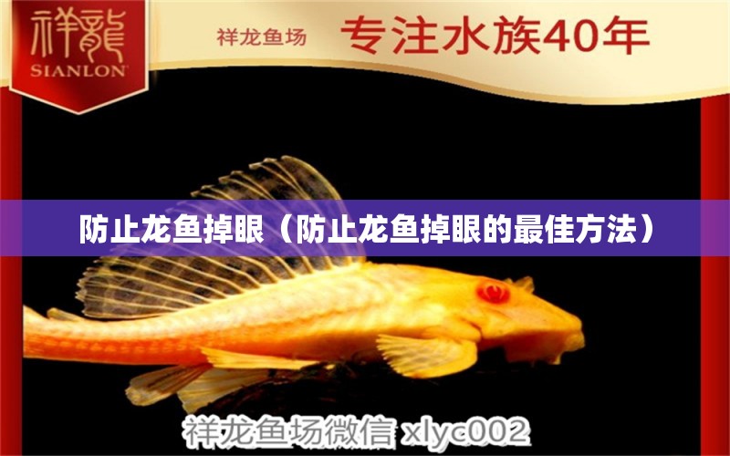 防止龍魚掉眼（防止龍魚掉眼的最佳方法） 廣州龍魚批發(fā)市場