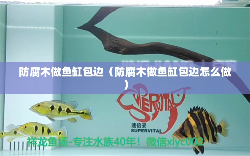 防腐木做魚(yú)缸包邊（防腐木做魚(yú)缸包邊怎么做） 其他品牌魚(yú)缸