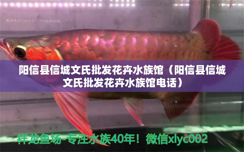 陽信縣信城文氏批發(fā)花卉水族館（陽信縣信城文氏批發(fā)花卉水族館電話）