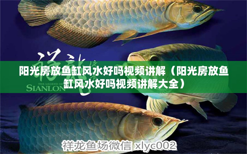 陽光房放魚缸風(fēng)水好嗎視頻講解（陽光房放魚缸風(fēng)水好嗎視頻講解大全） 魚缸風(fēng)水