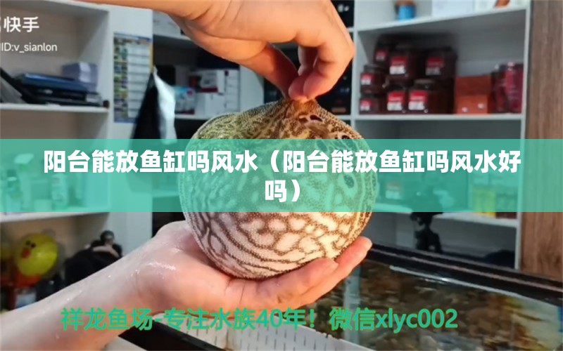 陽臺能放魚缸嗎風(fēng)水（陽臺能放魚缸嗎風(fēng)水好嗎）