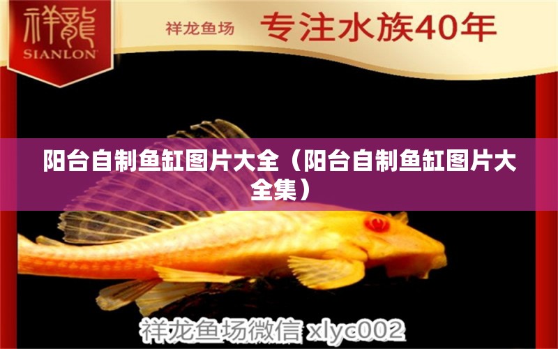 陽臺自制魚缸圖片大全（陽臺自制魚缸圖片大全集） 祥龍水族醫(yī)院