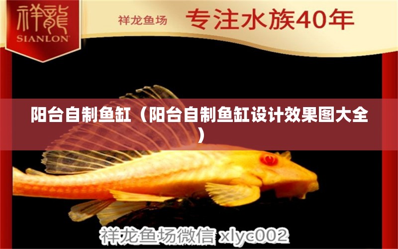 陽臺自制魚缸（陽臺自制魚缸設(shè)計效果圖大全） 祥龍水族醫(yī)院