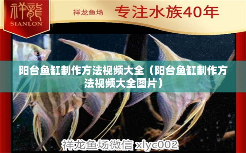 陽臺魚缸制作方法視頻大全（陽臺魚缸制作方法視頻大全圖片）