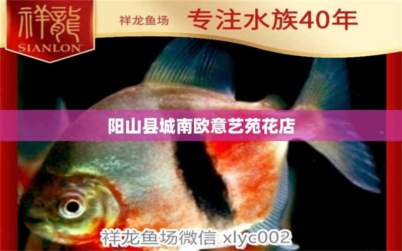 陽(yáng)山縣城南歐意藝苑花店 全國(guó)水族館企業(yè)名錄