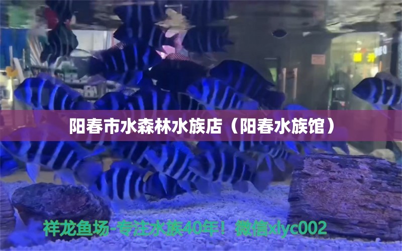 陽春市水森林水族店（陽春水族館）