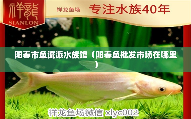 陽(yáng)春市魚流派水族館（陽(yáng)春魚批發(fā)市場(chǎng)在哪里） 全國(guó)水族館企業(yè)名錄