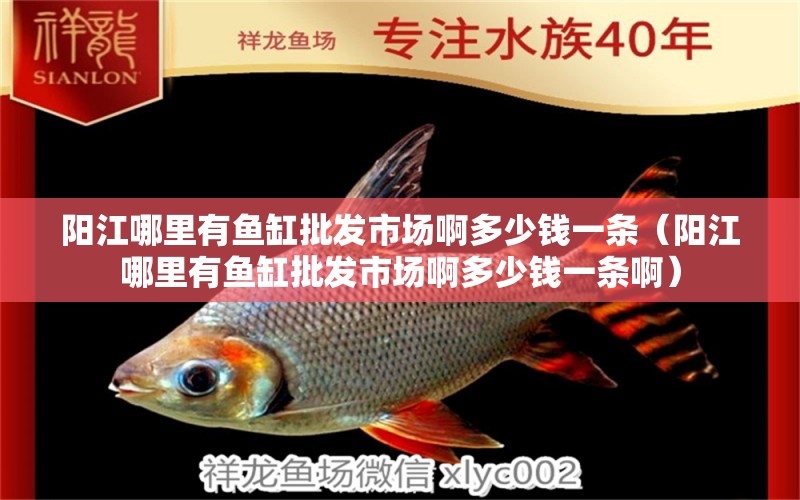 陽江哪里有魚缸批發(fā)市場啊多少錢一條（陽江哪里有魚缸批發(fā)市場啊多少錢一條啊）