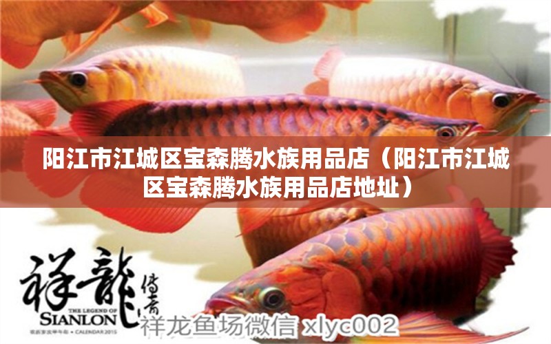 陽江市江城區(qū)寶森騰水族用品店（陽江市江城區(qū)寶森騰水族用品店地址） 水族用品