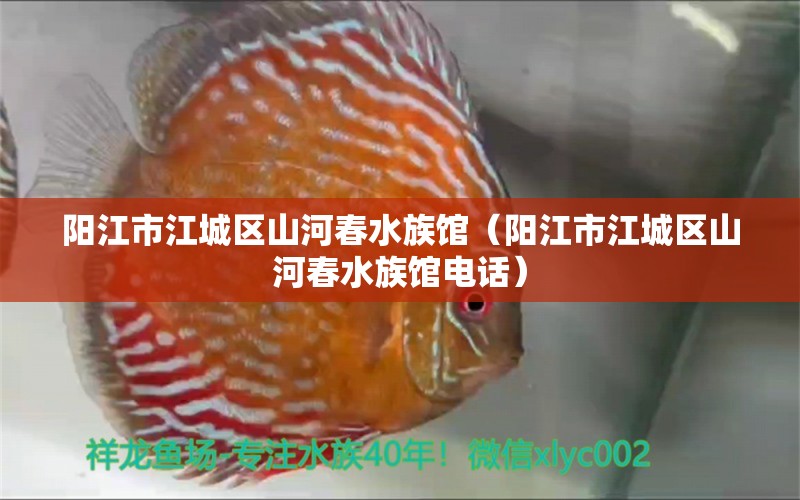 陽江市江城區(qū)山河春水族館（陽江市江城區(qū)山河春水族館電話）