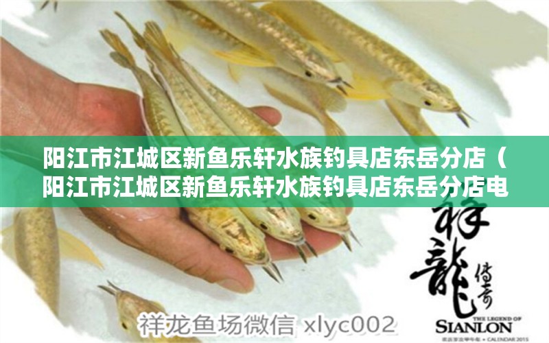 陽(yáng)江市江城區(qū)新魚樂軒水族釣具店?yáng)|岳分店（陽(yáng)江市江城區(qū)新魚樂軒水族釣具店?yáng)|岳分店電話）