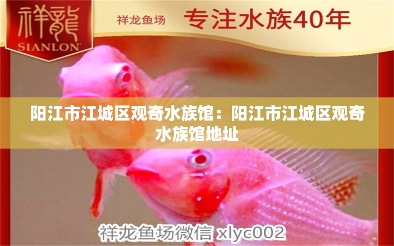 陽江市江城區(qū)觀奇水族館：陽江市江城區(qū)觀奇水族館地址 全國水族館企業(yè)名錄