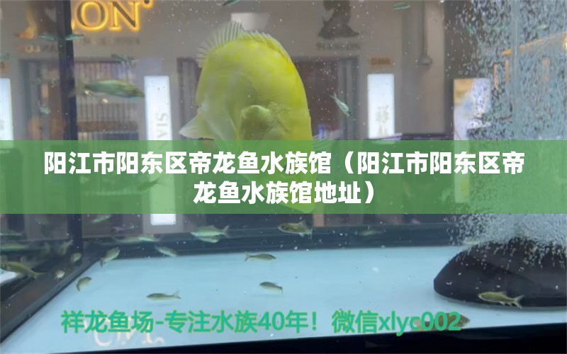 陽江市陽東區(qū)帝龍魚水族館（陽江市陽東區(qū)帝龍魚水族館地址）