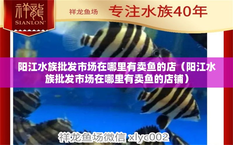 陽(yáng)江水族批發(fā)市場(chǎng)在哪里有賣(mài)魚(yú)的店（陽(yáng)江水族批發(fā)市場(chǎng)在哪里有賣(mài)魚(yú)的店鋪）